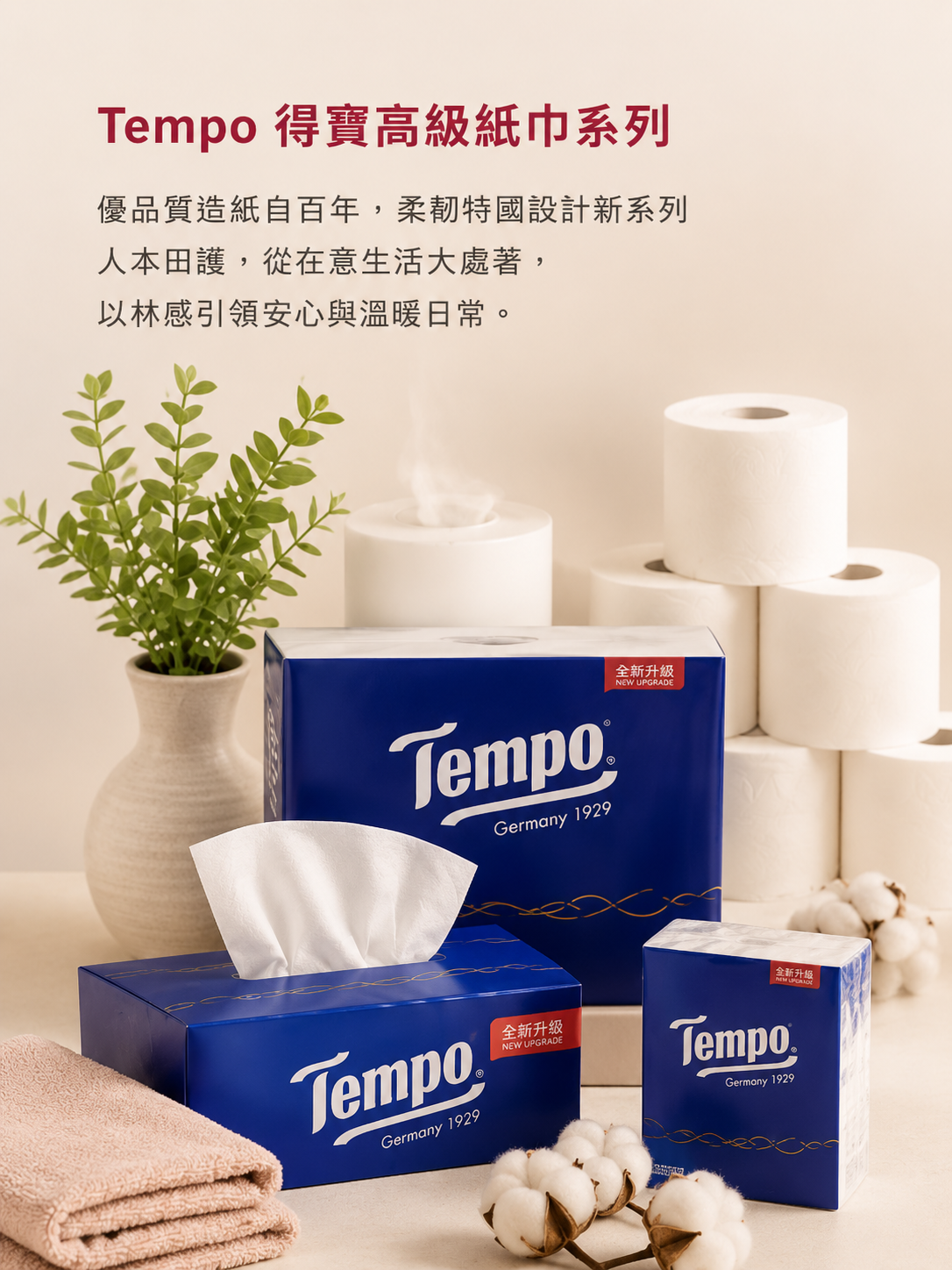 Tempo紙巾貨架實景